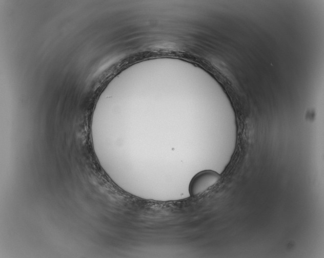 X0000113171015200909251412