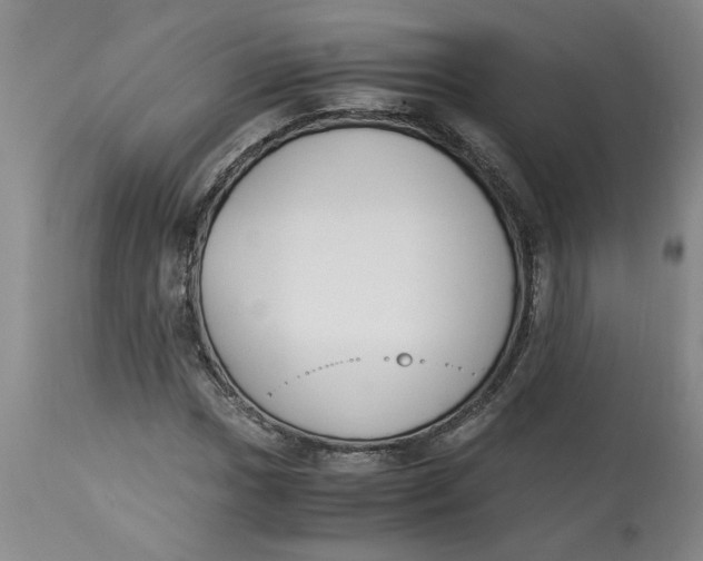 X0000113171017200909251412