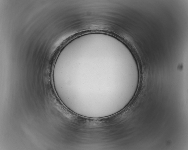 X0000113171019200909251412