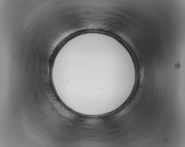 X0000113171021200909251412