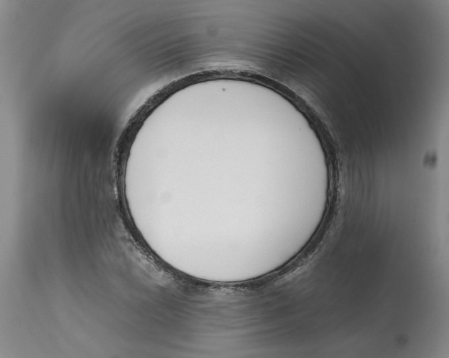 X0000113171022200909251412