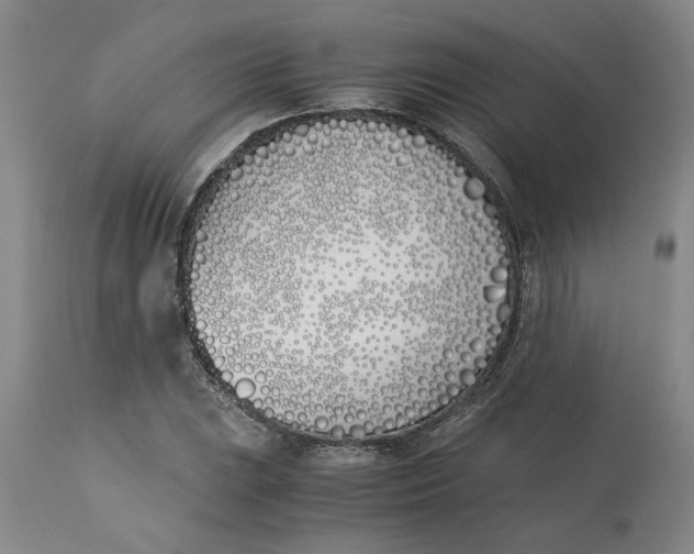 X0000113171023200909251412