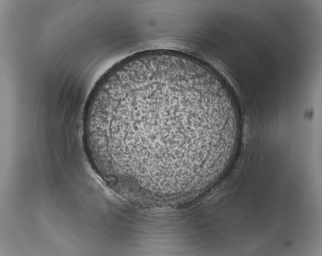 X0000113171024200909251412