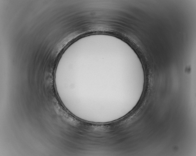 X0000113171025200909251412