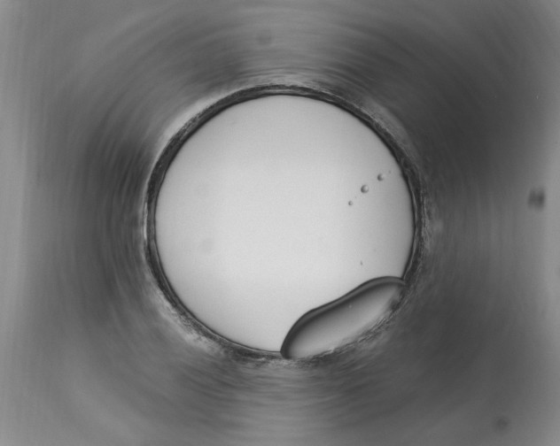 X0000113171028200909251412