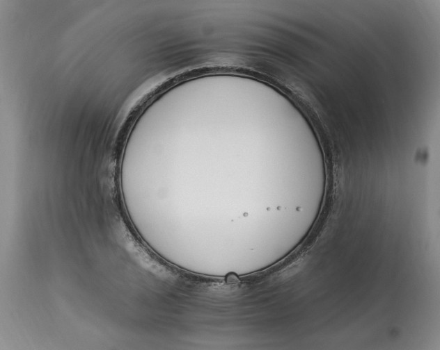 X0000113171029200909251412