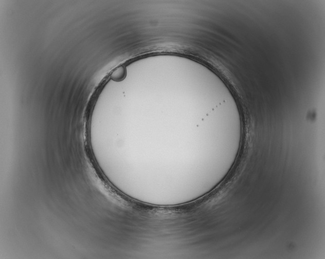 X0000113171034200909251412