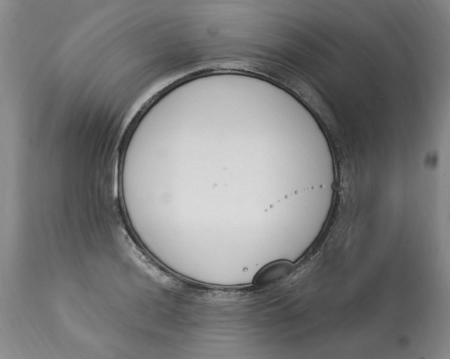 X0000113171036200909251412