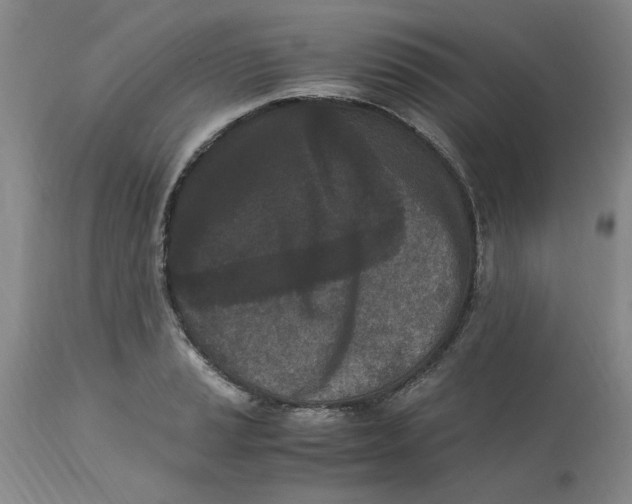 X0000113171037200909251412