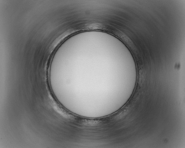 X0000113171039200909251412