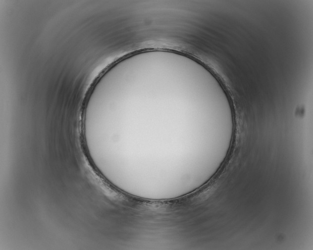 X0000113171040200909251412