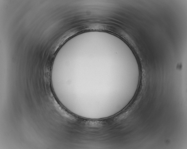 X0000113171041200909251412