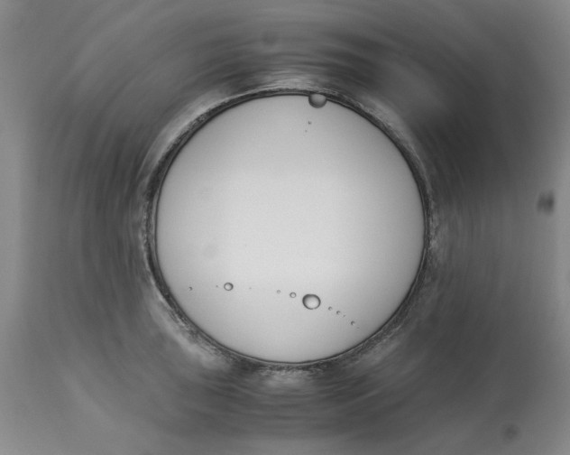 X0000113171043200909251412