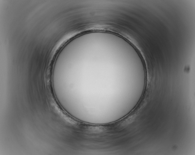 X0000113171045200909251412