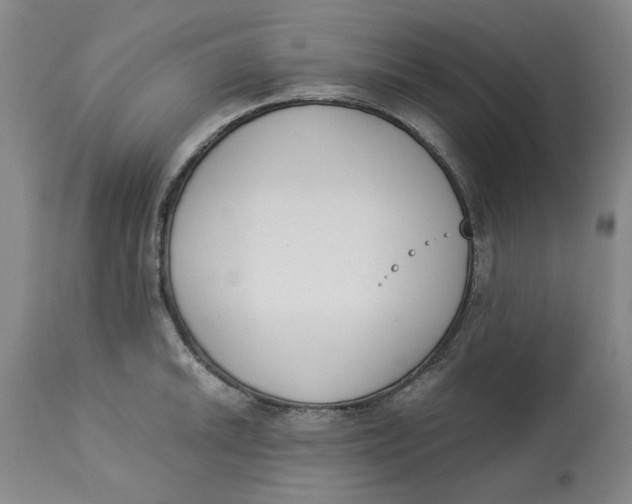 X0000113171046200909251412