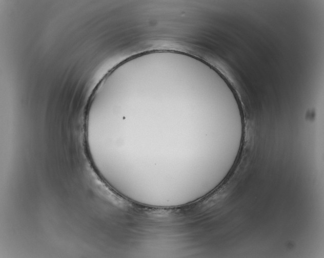 X0000113171048200909251412