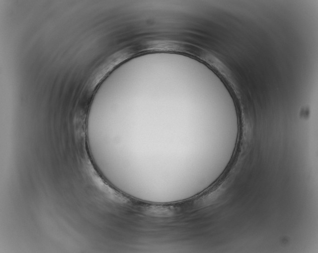 X0000113171049200909251412