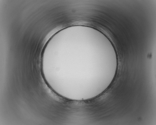 X0000113171050200909251412