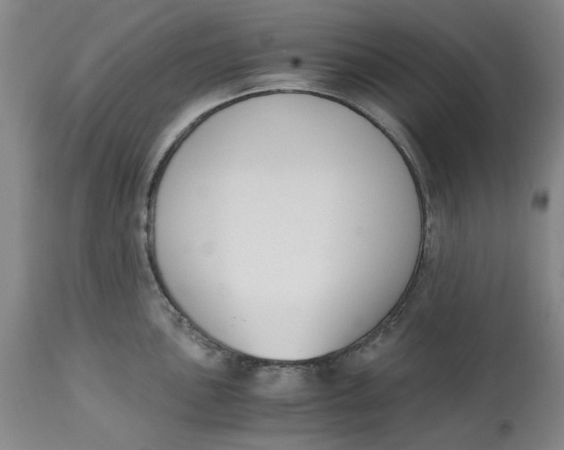 X0000113171051200909251412