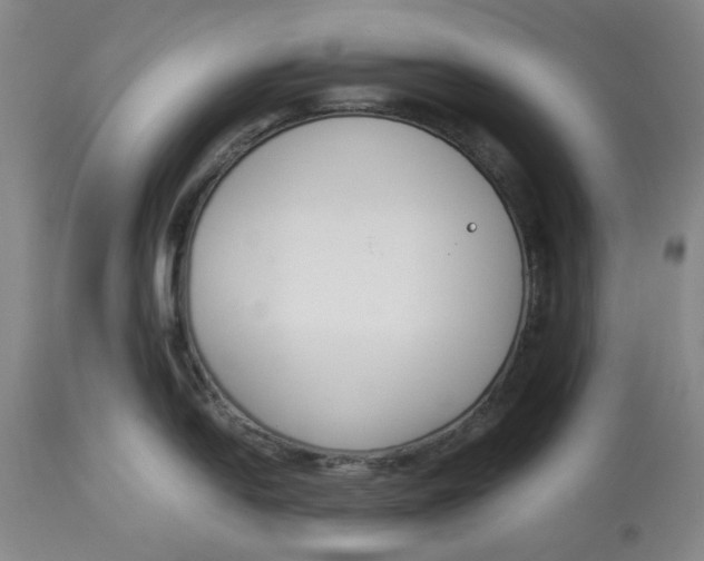 X0000113171054200909251412