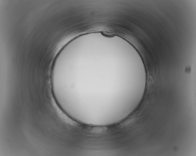 X0000113171055200909251412