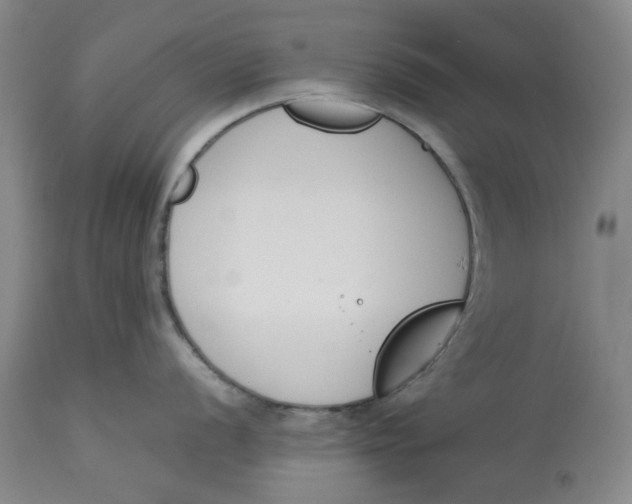 X0000113171056200909251412