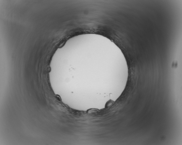 X0000113171057200909251412