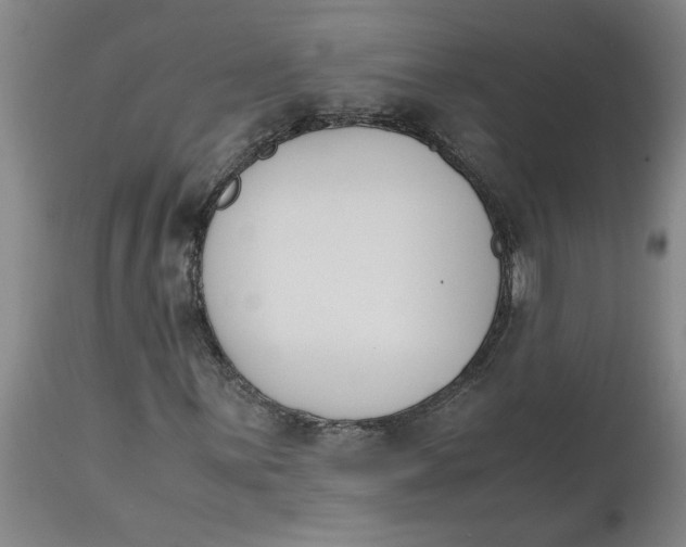 X0000113171059200909251412