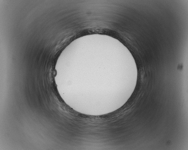 X0000113171060200909251411