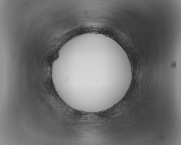 X0000113171061200909251411