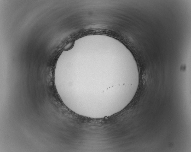 X0000113171062200909251411