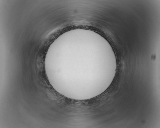 X0000113171063200909251411