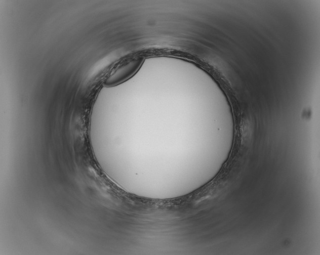 X0000113171064200909251411