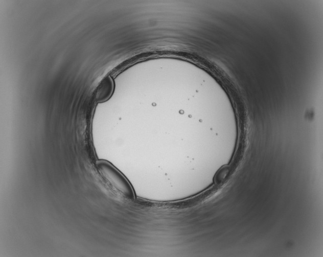 X0000113171065200909251411