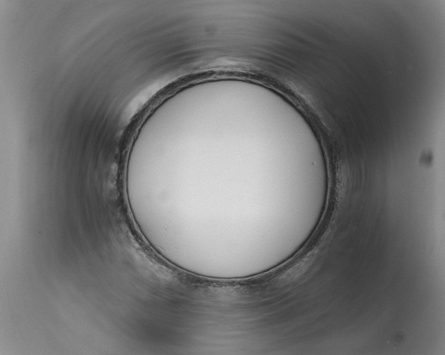 X0000113171066200909251411