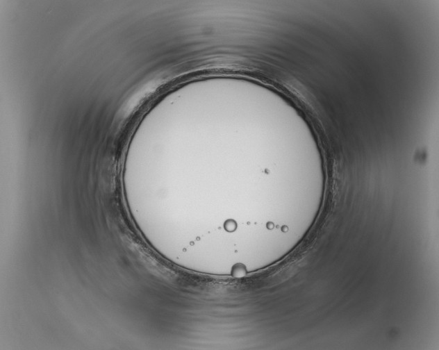 X0000113171067200909251411