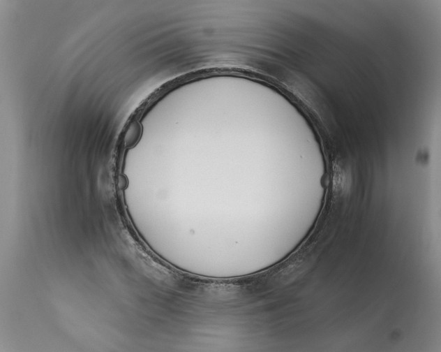 X0000113171068200909251411