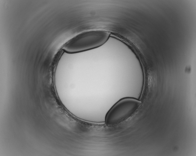 X0000113171069200909251411