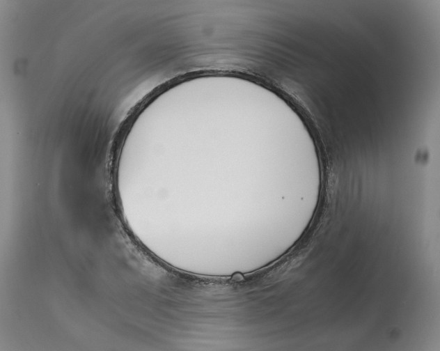 X0000113171071200909251411