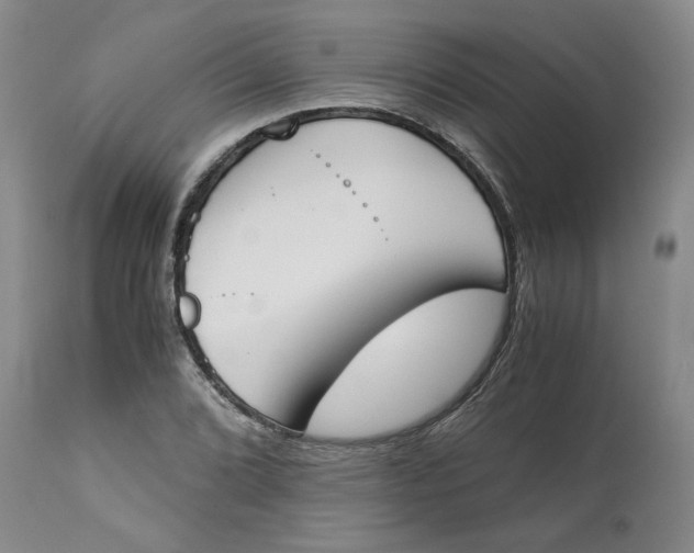 X0000113171072200909251411