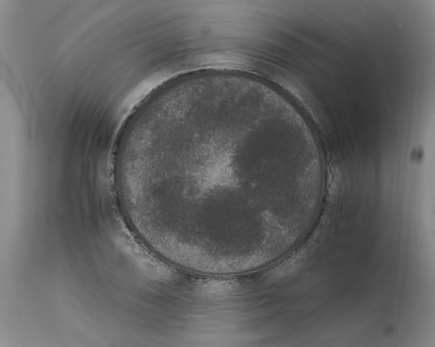 X0000113171074200909251411