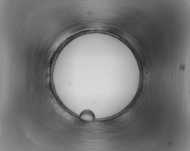 X0000113171075200909251411