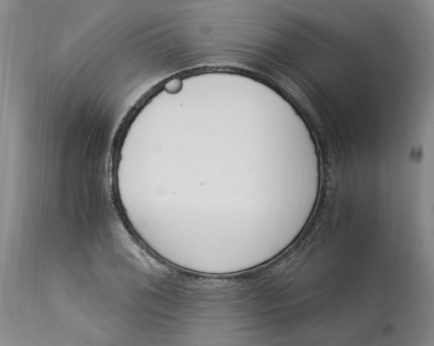 X0000113171076200909251411