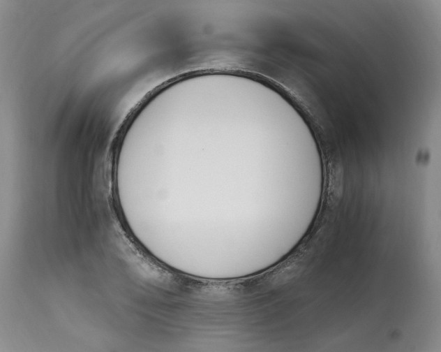 X0000113171078200909251411