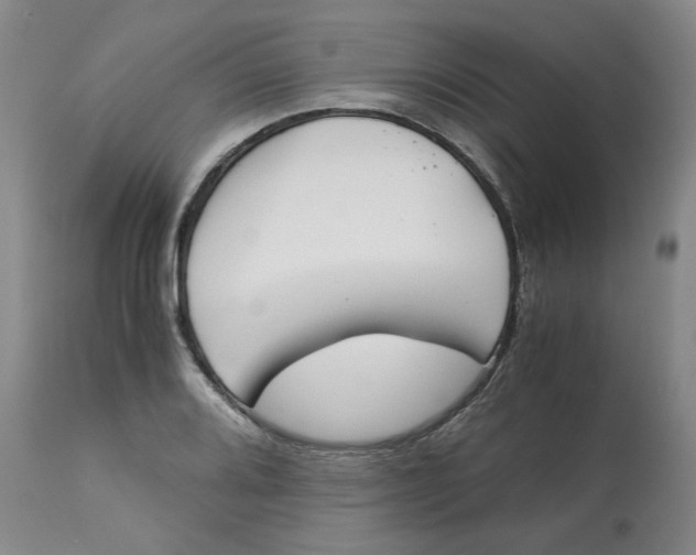 X0000113171080200909251411