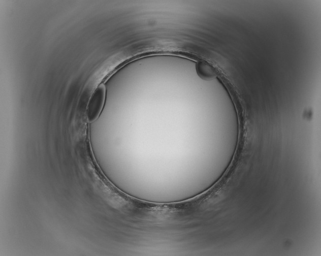 X0000113171081200909251411