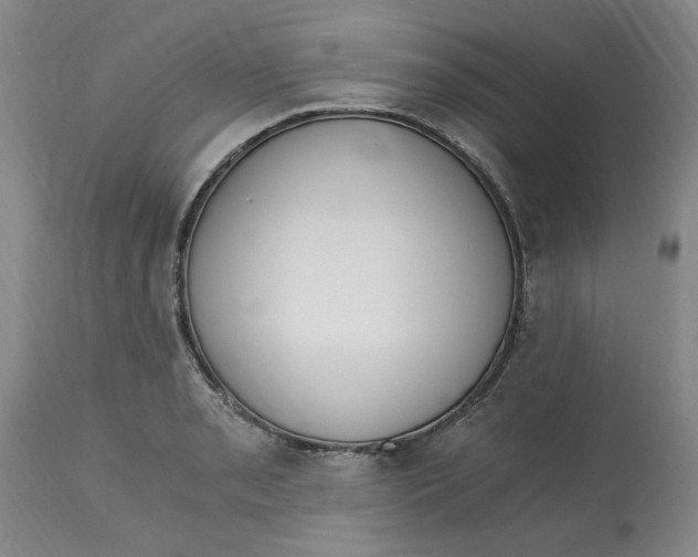 X0000113171085200909251411