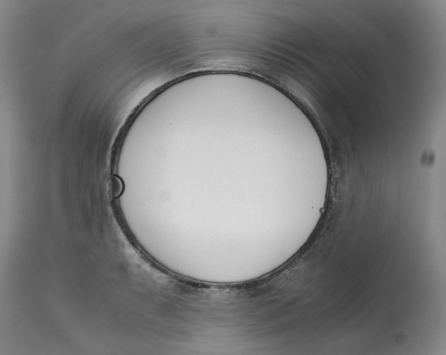 X0000113171087200909251411