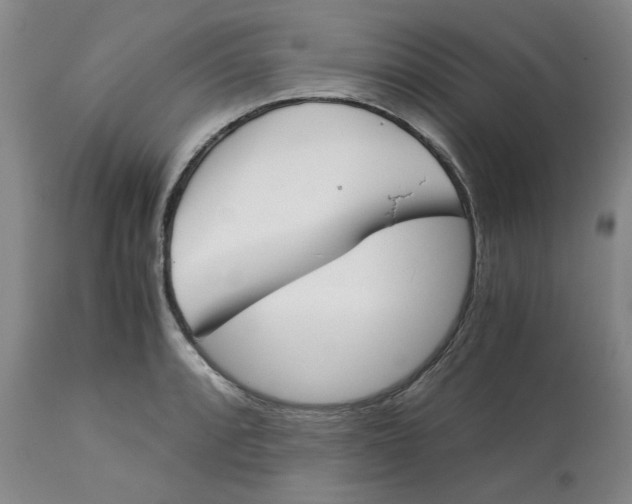 X0000113171088200909251411