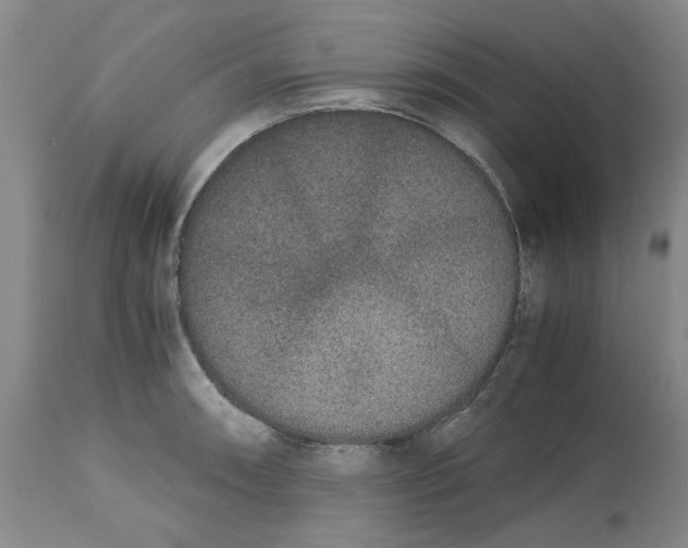 X0000113171090200909251411